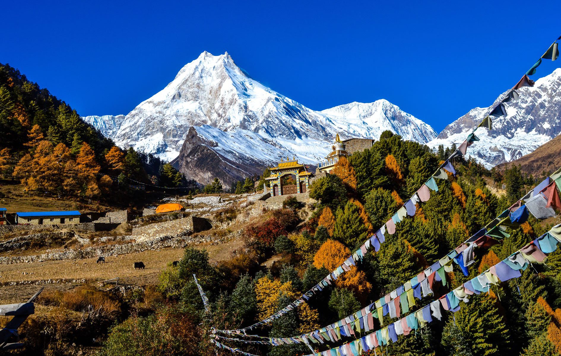 Mystical Nepal: Trekking in the Shadows of the Himalayas