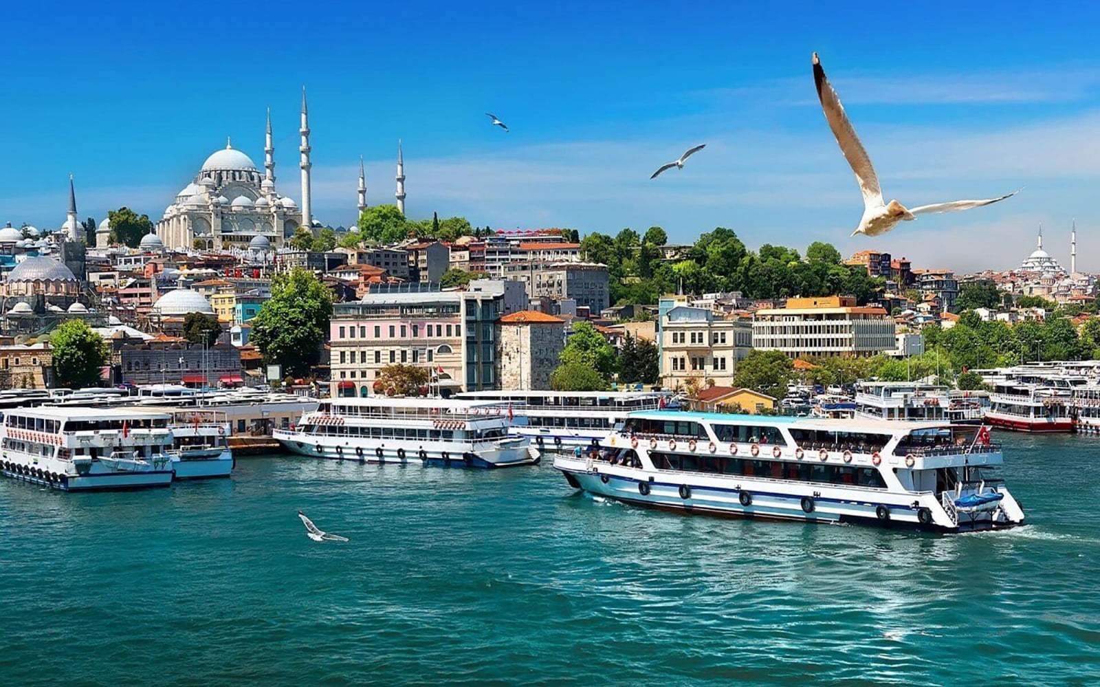 Cruising the Bosphorus: Istanbul’s Unique Blend of East and West